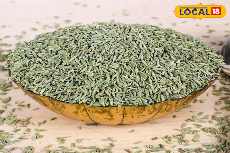 बालकनी में उगाएं ऑर्गेनिक सौंफ, पाचन तंत्र का रामबाण इलाज अब आपके घर पर