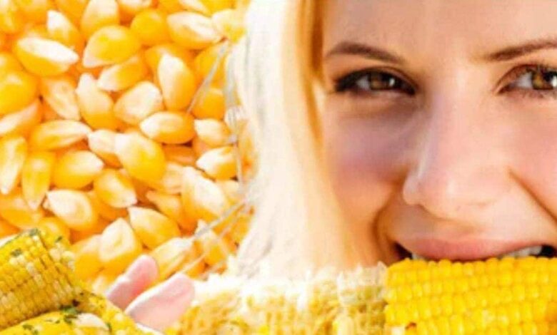 Health Care Tips : पाचन समेत इन 4 बीमारियों में नहीं खाना चाहिए मक्का, वरना सेहत को हो सकता है गंभीर नुकसान!