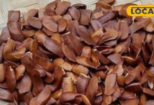 Health Tips | Diabetes Diet | Best Fruits for Diabetic Patients | Diabetes Control Foods | Natural Sugar Control | Healthy Fruits for Diabetes | Blood Sugar Level Tips | Sugar Free Diet Tips