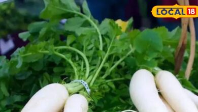 Health Tips: सर्दी में जानिए मूली खाने के फायदे, भोजन में जरूर करें शामिल, चेहरा होगा चिकना, मुंहासे और एलर्जी से मिलेगी छुटकारा