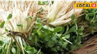 Health Tips: सिर्फ सर्दियों में मिलती है ये नेचुरल औषधि! थकान, कमजोरी और ठंड को करती है गायब, जानें इसका राज - Rajasthan News