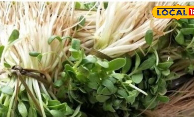 Health Tips: सिर्फ सर्दियों में मिलती है ये नेचुरल औषधि! थकान, कमजोरी और ठंड को करती है गायब, जानें इसका राज - Rajasthan News