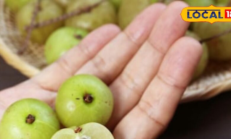 Health tips : बुढ़ापे में दिखोगे बांका जवान, अभी से शुरू कर दें इस खट्टे फल का सेवन, पोते की उम्र वाले कहेंगे भैय्या - Uttar Pradesh News