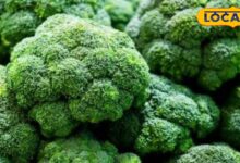 Health tips : ये सब्जी सर्दियों की दुश्मन, इन तत्वों से भरपूर, सेहत के लिए चमत्कारी - Uttar Pradesh News