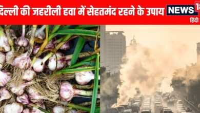 How To Detox Lungs: कैसे रहें दिल्ली की जहरीली हवा में सेहतमंद,आयुर्वेद एक्सपर्ट की टिप्स