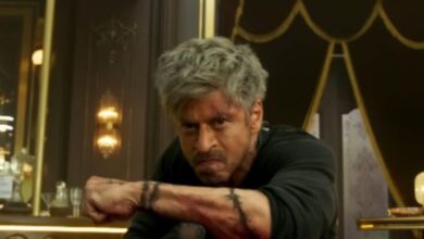 KING में वर्ल्ड लेवल के होंगे 6 एक्शन सीक्वेंस, SRK पर लगा 350 करोड़ का दांव, हॉलीवुड के टक्कर की होगी फिल्म