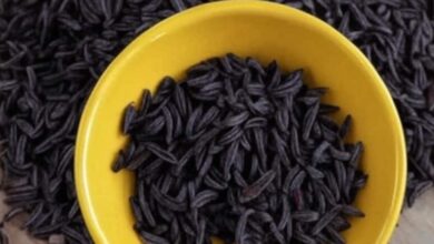 Kali Jiri Ke Fayde: जीरे जैसे दिखता है पर रंग है काला, पेट के कीड़ों और गैस का सस्ता घरेलू इलाज