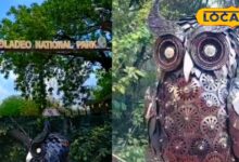 Kevladev National Park | Bharatpur Wildlife | Admakad Owl | Bird Watching Bharatpur | Rajasthan National Parks | Nature Tourism Rajasthan