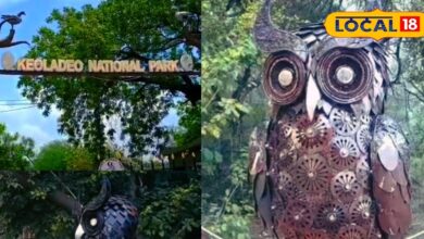 Kevladev National Park | Bharatpur Wildlife | Admakad Owl | Bird Watching Bharatpur | Rajasthan National Parks | Nature Tourism Rajasthan