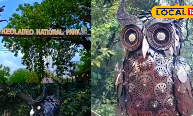 Kevladev National Park | Bharatpur Wildlife | Admakad Owl | Bird Watching Bharatpur | Rajasthan National Parks | Nature Tourism Rajasthan