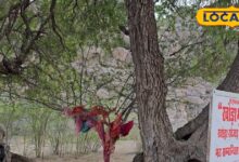 Khoda Bhoot Story : एक पेड़… और हर रात आता था लंगड़ा भूत! चौहटन मठ की वो कथा, जिसे सुनकर बड़े-बड़े घबरा जाते हैं!