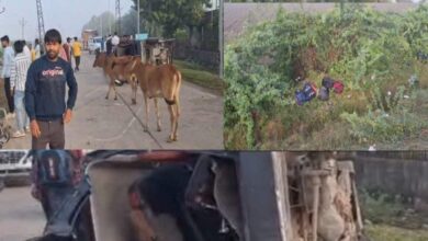 Kota News: कोटा में दर्दनाक हादसा! बोलेरो से टकराई स्कूल वैन, दो मासूमों की मौत, कई घायल