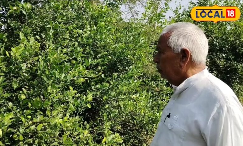 Nimbu Ki Kheti: खेती में क्रांति! नींबू के बगीचे ने किसान को बनाया ‘लोकल हीरो
