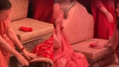 Nita Ambani Birthday | Nita Ambani Mother Blessings- जन्मदिन पर नीता अंबानी का भावुक पल, मां के चरणों में दंडवत होकर लिया आशीर्वाद, वीडियो देख आंखें भर आएंगी