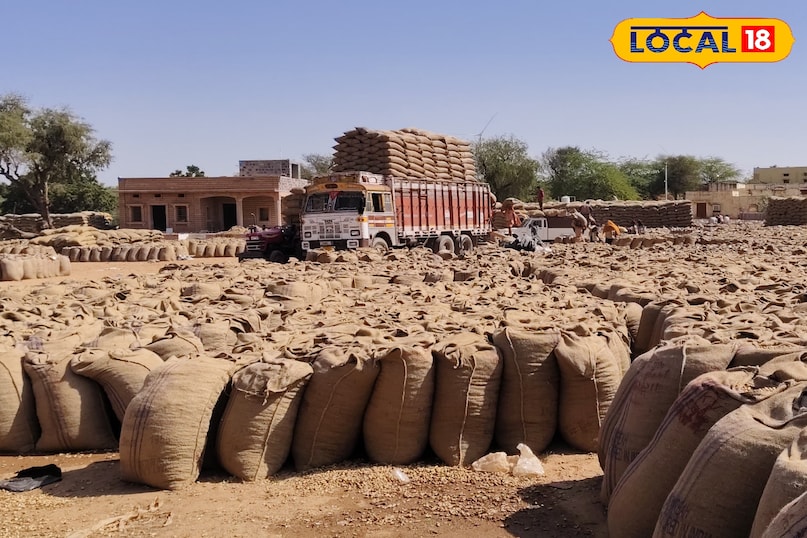 मूंगफली 