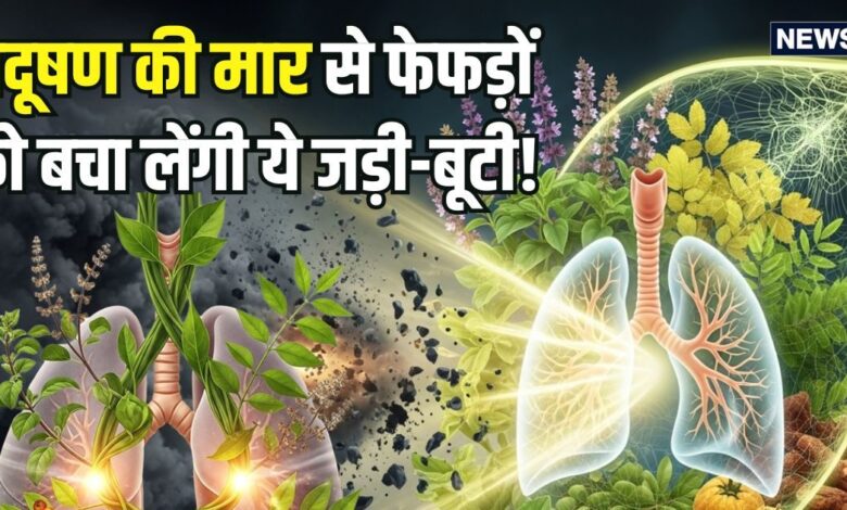 Pollution Herbs: प्रदूषण की काट हैं ये 3 जड़ी-बूटी! सेवन से फेफड़ों पर जमी गंदगी होगी दूर, बेधड़क चलेंगी सांसें