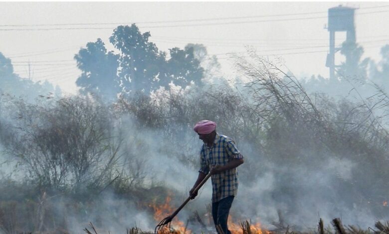 Punjab Parali News । CAQM Warn Punjab । Paddy Stubble । Delhi AQI । Delhi Air Pollution । पराली जलाने की घटनाओं पर तुरंत रोक लगाए पंजाब, CAQM ने दी चेतावनी, जानें हरियाणा को लेकर क्या कहा?