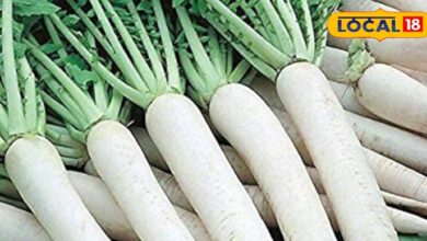 Radish Farming Tips for Farmers | Agriculture News Rajasthan