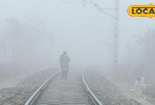 Rajasthan Weather Update | Rajasthan Cold Wave | Rajasthan Temperature Today | November Weather Rajasthan | Rajasthan Winter News | Jaipur Weather Forecast