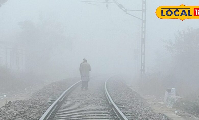 Rajasthan Weather Update | Rajasthan Cold Wave | Rajasthan Temperature Today | November Weather Rajasthan | Rajasthan Winter News | Jaipur Weather Forecast