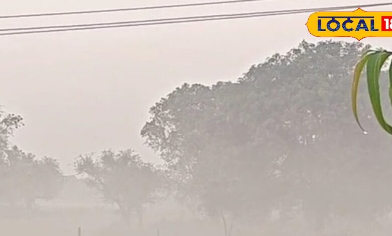 Rajasthan Weather Update: नवंबर में रिकॉर्डतोड़ सर्दी