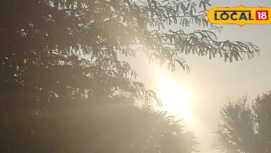 Rajasthan Weather: राजस्थान में ठंड ने बढ़ाई ठिठुरन, सीकर-चूरू में शीतलहर का असर, तापमान 7 डिग्री तक गिरा