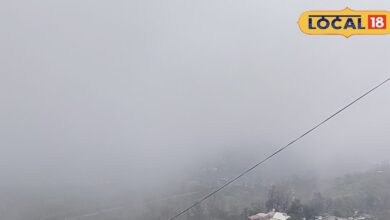 Rajasthan Weather: राजस्थान में मौसम पलटा! दिन में धूप, रात में कड़ाके की ठंड…