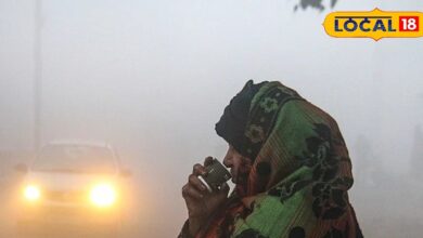 Rajasthan Weather: राजस्थान में शीतलहर और कोहरा जारी, सामान्य से नीचे पहुंचा तापमान, जानें अपने जिले के मौसम का हाल