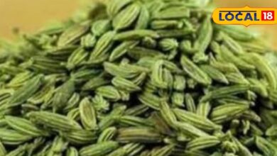 Regular consumption of fennel is considered beneficial in many diseases like constipation, diabetes and skin related diseases. Barabanki Ayurvedic Medicine - Himachal Pradesh News