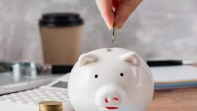 Small Saving Scheme । PPF । SSY । KVP । SCSS । NSC । स्मॉल सेविंग्स स्कीम्स । पीपीएफ । एसएसवाइ । केवीपी । एससीएसएस । एनएससी Personal Finance । पर्सनल फाइनेंस