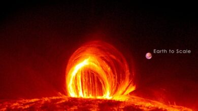 Strongest Solar Flare 2025 Blackout In Europe And Africa | सूरज पर 2025 के सबसे ताकतवर विस्फोट ने अफ्रीका-यूरोप का रेडियो सिग्नल उड़ाया, ब्लैकआउट से हड़कंप