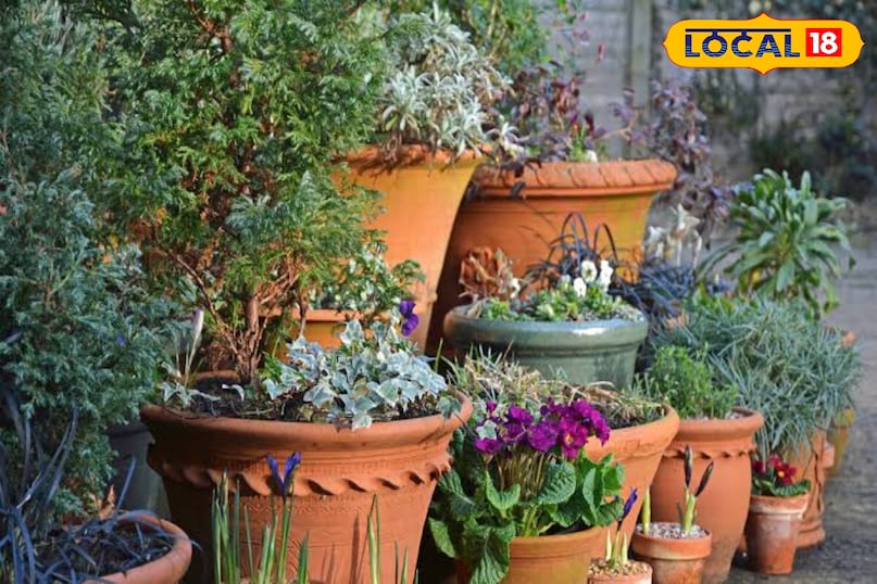 सर्दियों से बचाव 