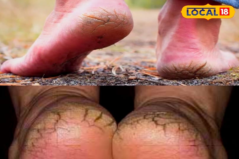 टिप्स एंड ट्रिक्स टिप्स एंड ट्रिक्स