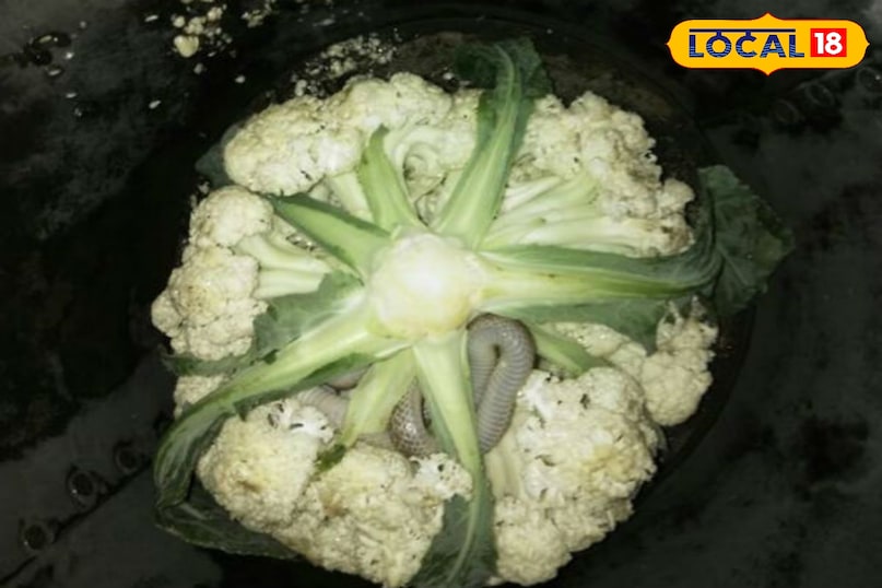 टिप्स एंड ट्रिक्स 