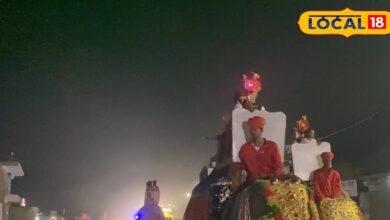 Unique Wedding: भोपालगढ़ में दूल्हे की शाही बंदोली! चार हाथी-चार बग्गी और सैकड़ों गाड़ियों के साथ निकली अनोखी बारात