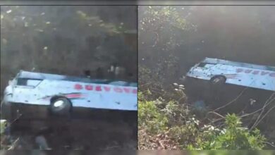 VIDEO: आर्मेनिया में दर्दनाक हादसा, स्टूडेंट्स से भरी बस गहरी खाई में गिरी, चीखों से गूंज उठा पहाड़