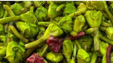 Water Chestnut Benefits in Winter Nutrition Right Way to Eat and Health Tips | सर्दियों के मौसम में रोज सिंघाड़ा खाने के फायदे