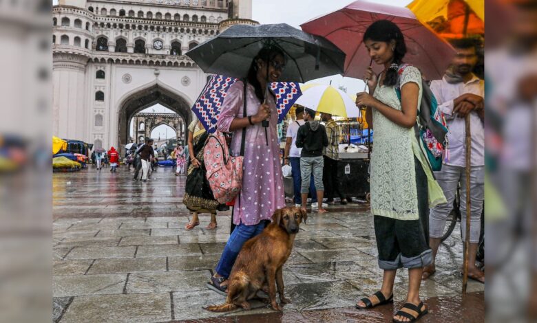 Weather Report: 55-70 Kmph रफ्तार की हवाएं, मूसलाधार बारिश और तूफान सेन्यार का कहर, पंजाब से दिल्ली तक ठंड का कहर