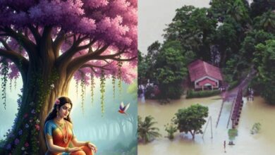 what is the situation of ashok vatika where sita stayed | Nuwara Eliya Srilanka Flood | 56 killed in Srilanka Flood | 60 missing in Srilanka Flood |