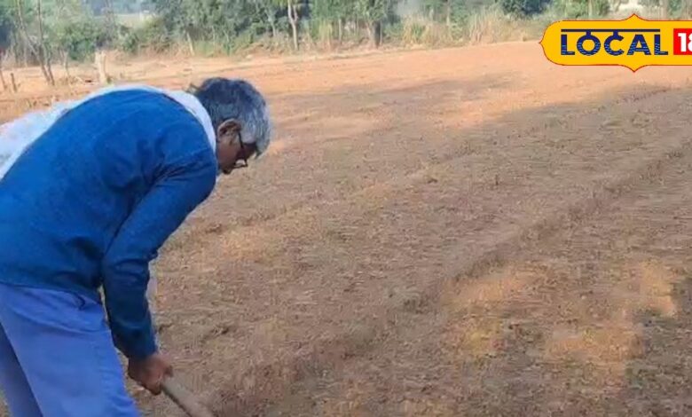 अलवर: खैरथल-तिजारा के खेतों में जिंक, आयरन, पोटाश की कमी