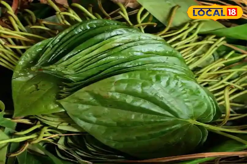 पान पत्ता 