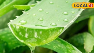 इन 5 में कोई एक चीज लगाकर सो जाएं, सर्दियों में करीब नहीं आएगा रूखापन, जानें तरीका - Uttar Pradesh News