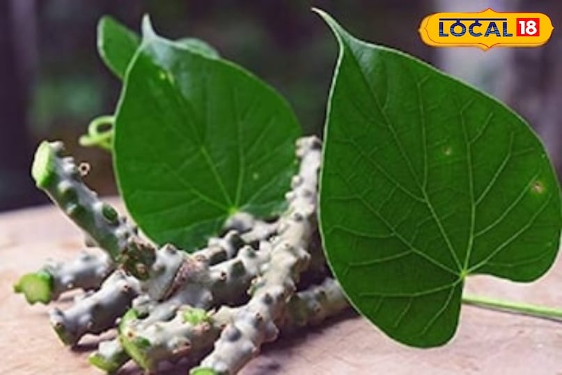 उदयपुर उदयपुर