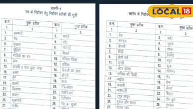 इस बार जूता-चप्पल, तकिया व हरी मिर्च-भिंडी के सिंबल पर होंगे पंच-सरपंच के चुनाव! जानिए कैसे मिलता है इनको सिंबल?