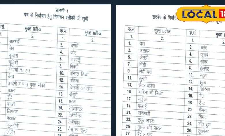 इस बार जूता-चप्पल, तकिया व हरी मिर्च-भिंडी के सिंबल पर होंगे पंच-सरपंच के चुनाव! जानिए कैसे मिलता है इनको सिंबल?