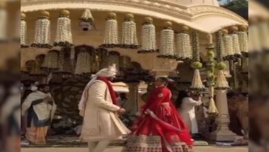 उदयपुर में रॉयल शादी का जलवा! दूल्हा-दुल्हन की वरमाला रस्म ने जीता सबका दिल