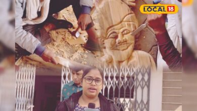 उदयपुर में लकड़ी कला कार्यशाला ने दी आदिवासी कला को नई पहचान – News18 हिंदी