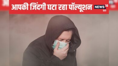 एयर पॉल्यूशन सिर्फ फेफड़े ही नहीं कर रहा बर्बाद, आपकी जिंदगी भी घटा रहा, एक्सपर्ट से जानें बचाव के तरीके