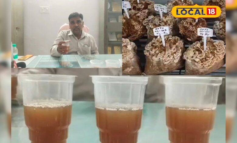 औषधीय गुणों से भरपूर है ये स्पेशल टी, चाय प्रेमियों के लिए हेल्दी विकल्प; इम्यूनिटी होगी मजबूत – News18 हिंदी