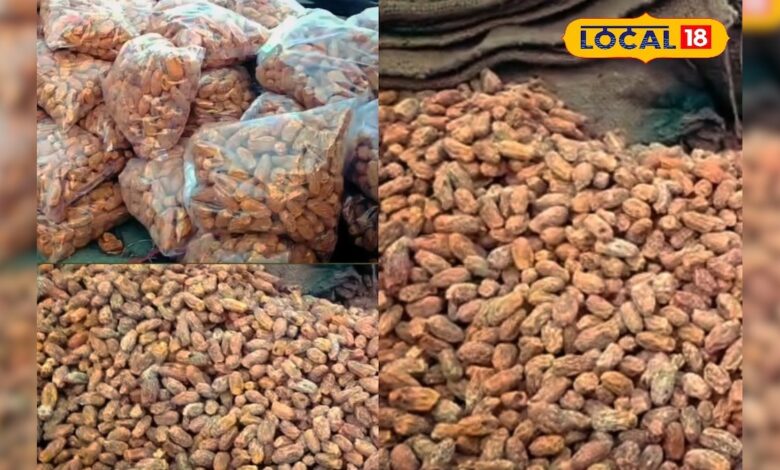 कमाई भी भारी, डिमांड भी जबरदस्त.... क्वॉलिटी ऐसी कि लोग हर साल इन्हीं से खरीदते हैं छुहारे!